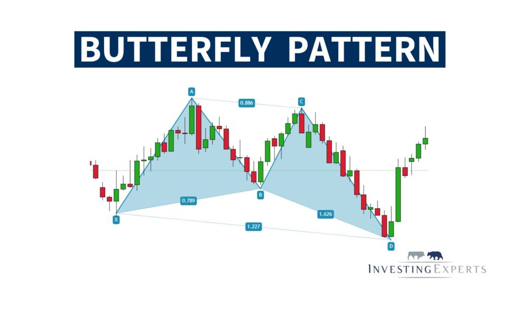 Butterfly Pattern
